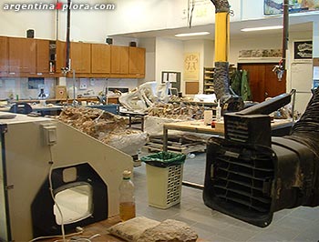 Laboratorio de paleontología del MEF