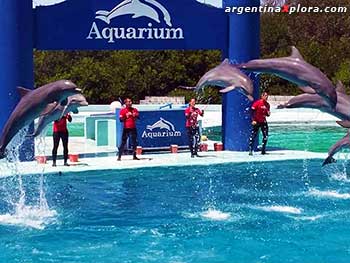 Aquarium Mar del Plata