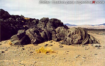 lava volcánica en Antofagasta de la Sierra Caytamarca