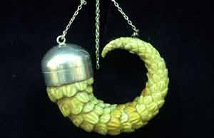 Amuleto de plata y cola de reptil