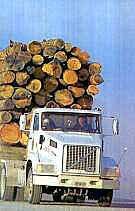 camion de madera