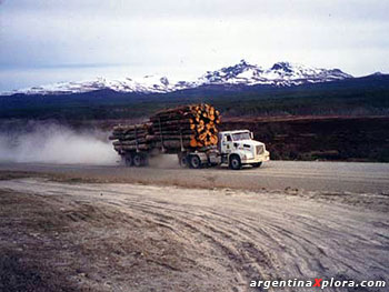 Cargas de madera talada en la Patagonis