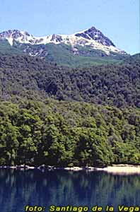 Parque Nacional Los Alerces