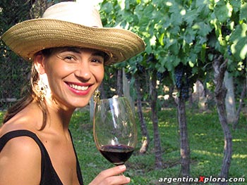 La variedad Malbec es de calidad superior. Los vinos blancos se producen en San Juan, Salta y Mendoza