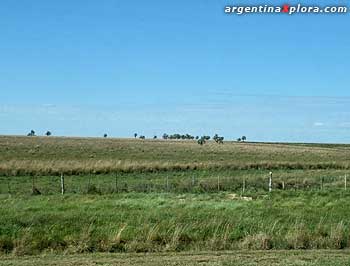 Campo el noreste de Corrientes