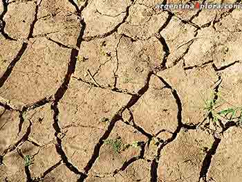 Tierra seca del Chaco