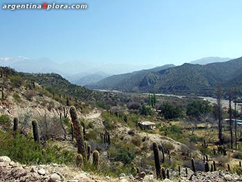Ecorregión Sierras y Bolsones, Chilecito, La Rioja