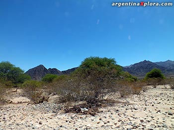 Ecosistema de Bolsones. Valles Calchaquíes en Salta