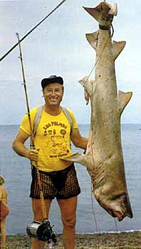 Pesca de tiburón en Mar del Plata