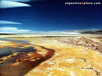 Aguas sulfurosas en Antofagasta de la Sierra. Catamarca