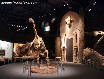 Sala del Museo Paleontológico Egidio Feruglio. Trelew