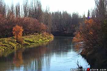 Río Chubut en otoño. Gaiman