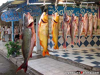 Pesca del día en un puesto de pescado en Rosario